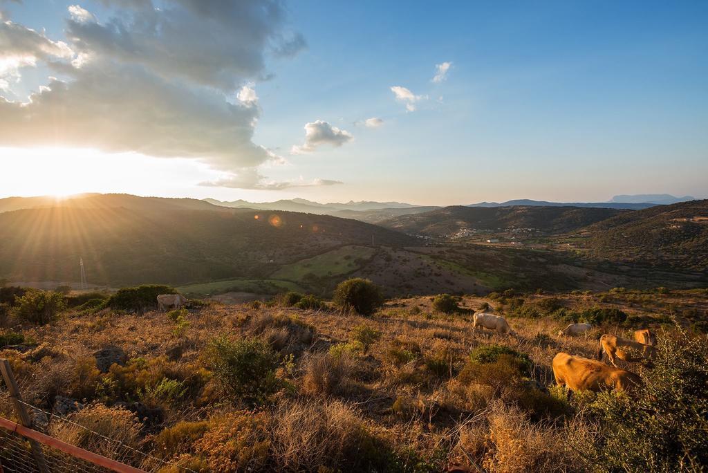 Agriturismo Irghitula بوسادا المظهر الخارجي الصورة